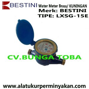 Bestini water meter