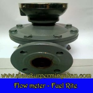 Fuel Rite Flow meter 2 inch FU CIOM 50