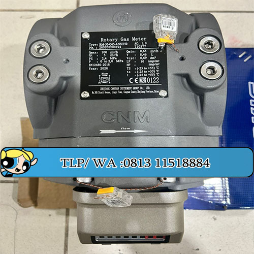 Rotary Gas meter Cangnan