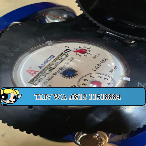 Water meter amico lxlg65E