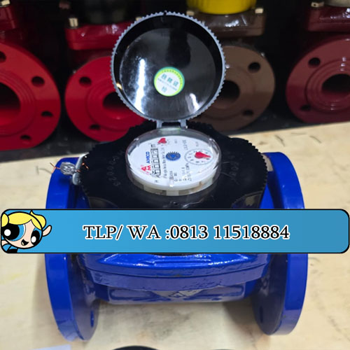 Water Meter AMICO LXLG65E