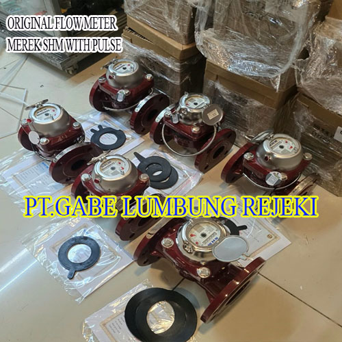 Original SHM Flowmeter